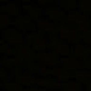 Meet your Posher, Tegan